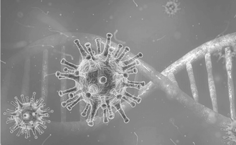 Información de interés sobre Coronavirus SARS CoV-2