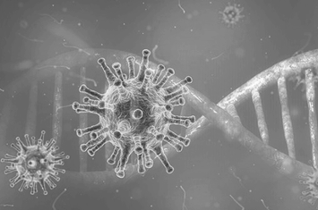 Informació d'interès sobre Coronavirus SARS CoV-2